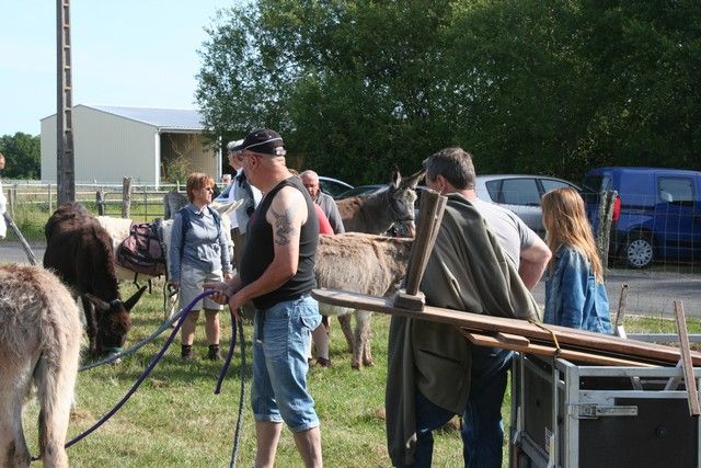 2015-07-06 rando anes (7).JPG